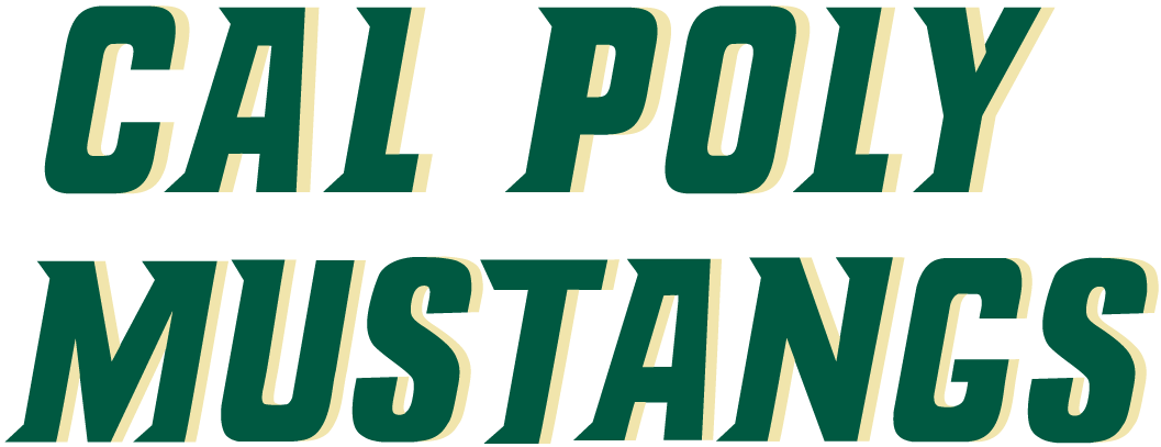 Cal Poly Mustangs 2000-2006 Wordmark Logo diy iron on heat transfer